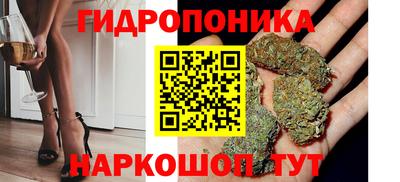 соль ск Славгород