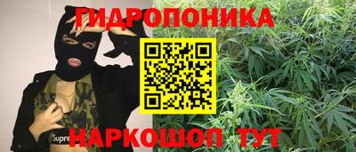шишки Сланцы