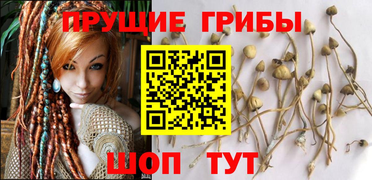 Псилоцибиновые грибы прущие грибы  Вход с VPN  Балашиха 